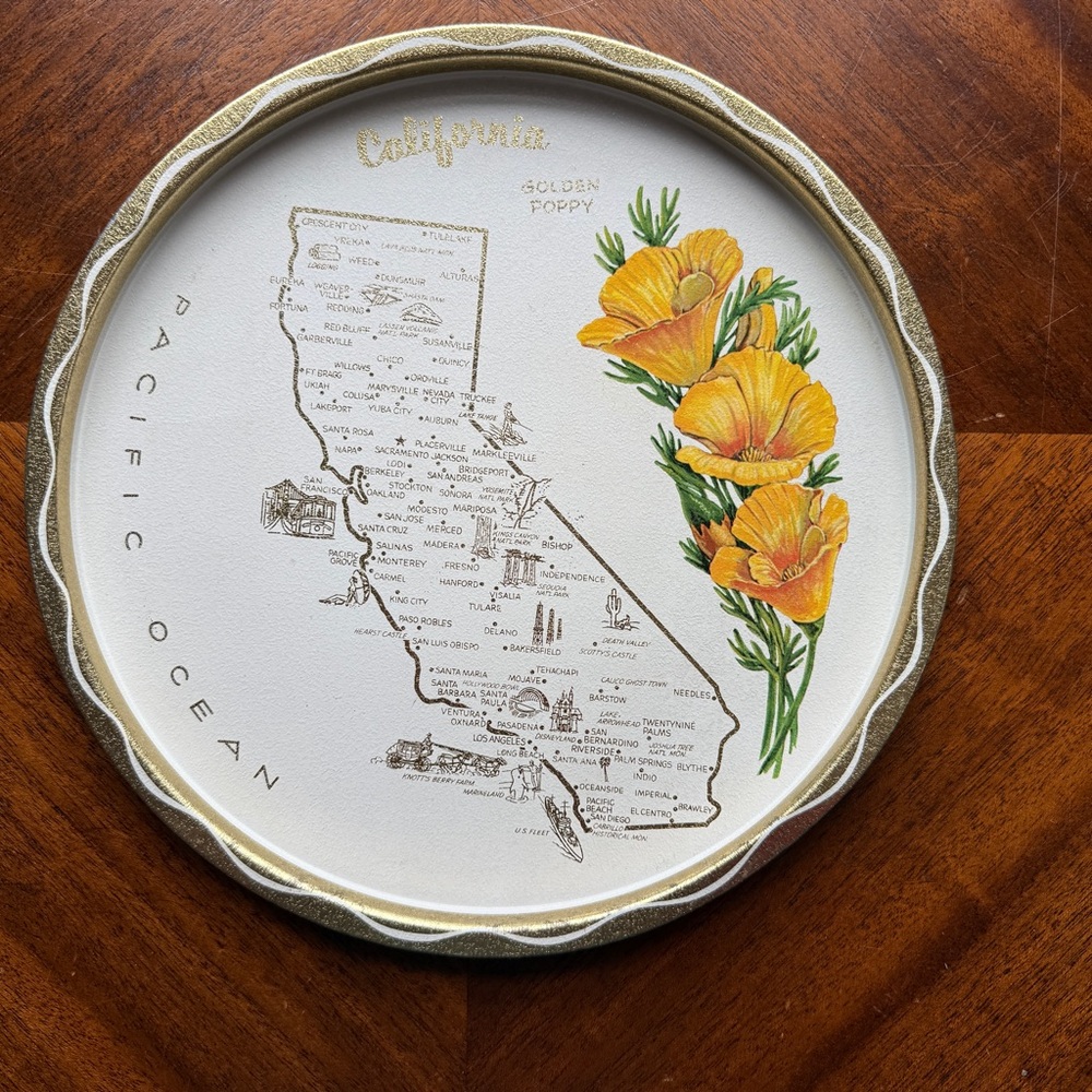 MCM Vintage California Golden Poppies Souvenir Tray